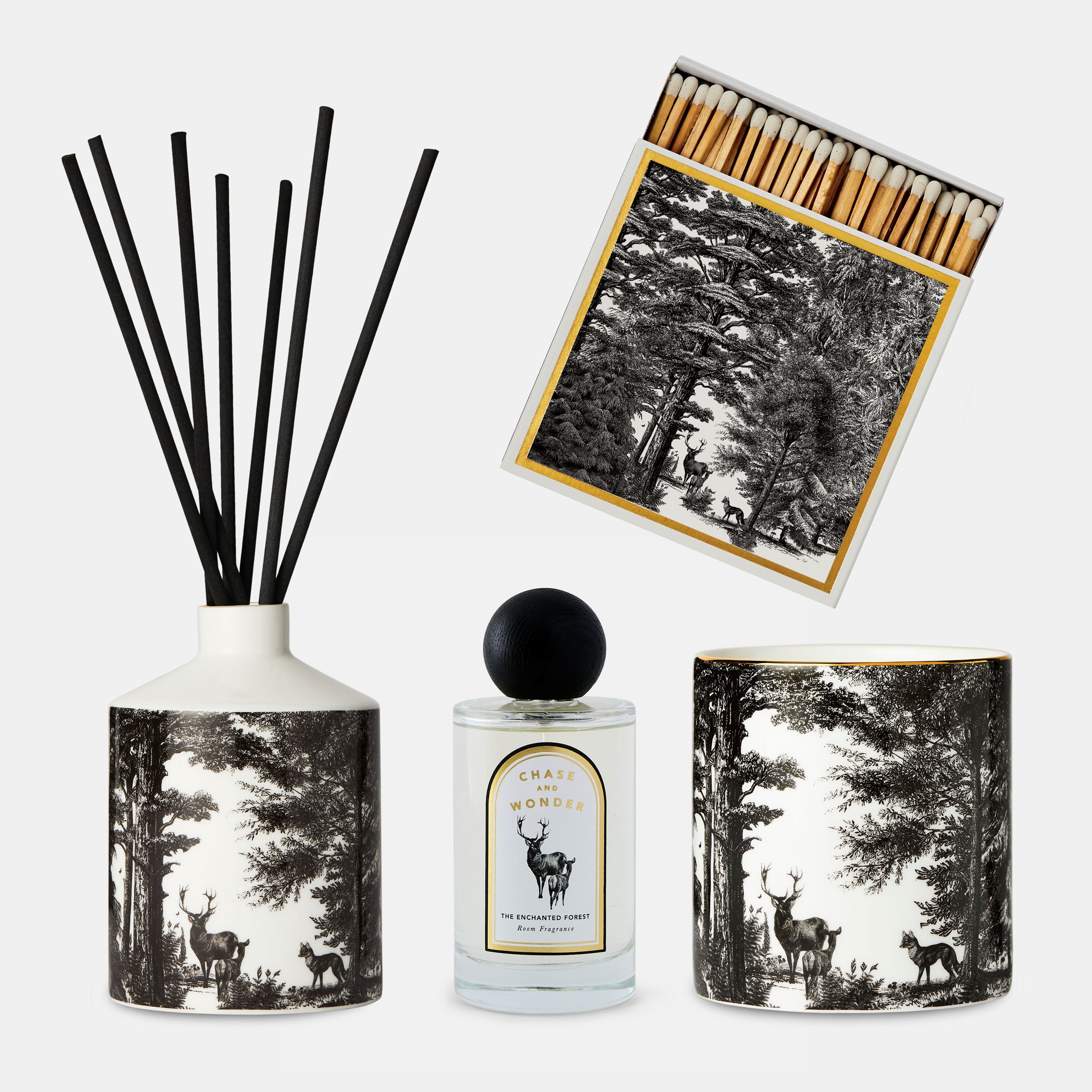 For the Explorers: The Enchanted Forest Gift Set