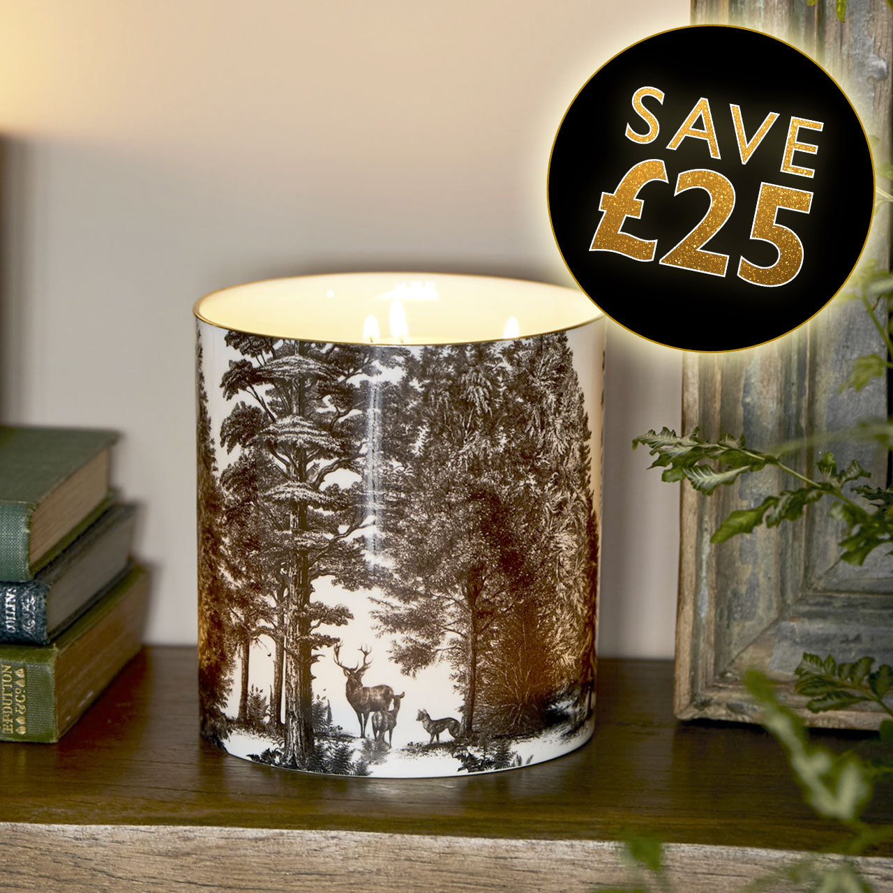 The Enchanted Forest 3 Wick Scented Ceramic Candle