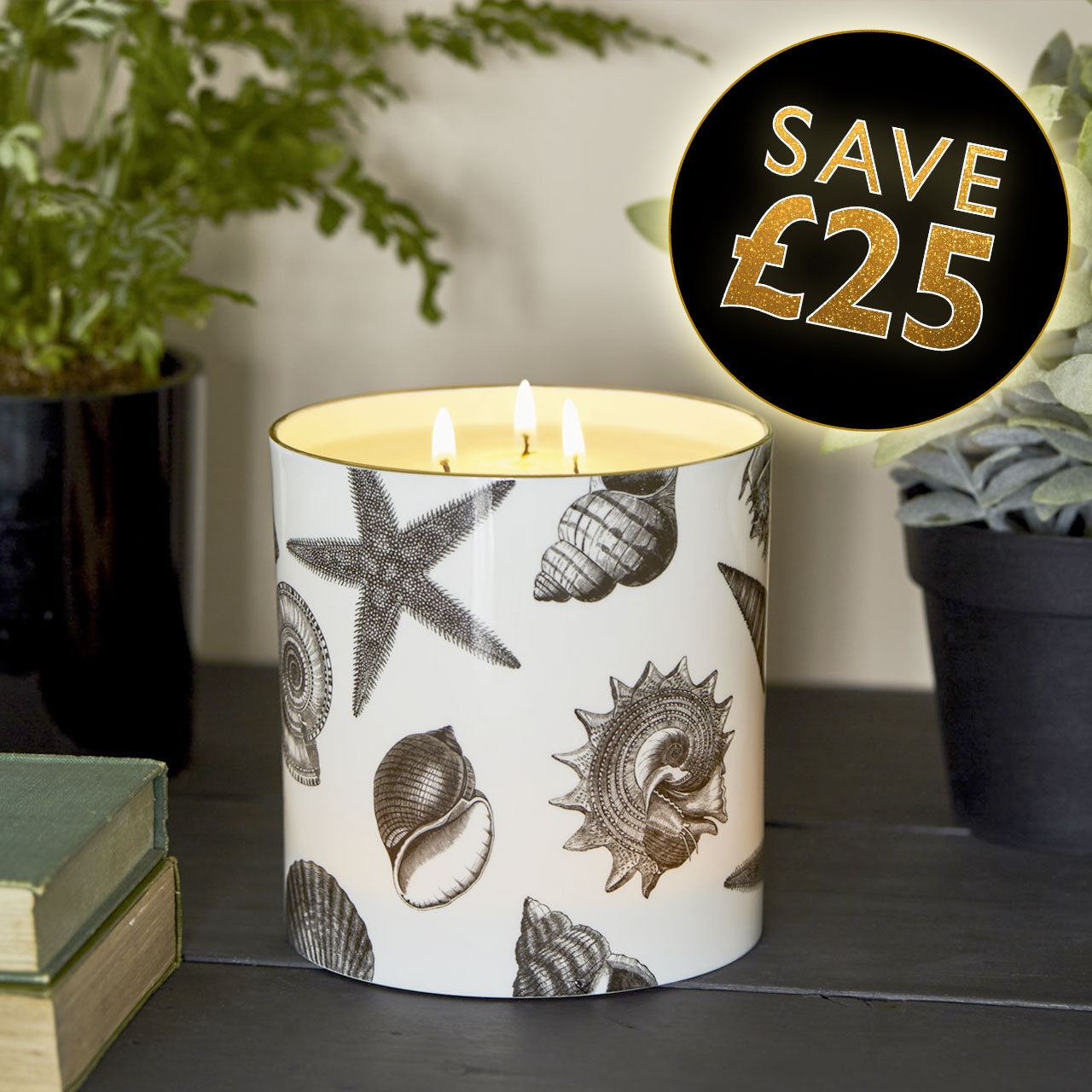 The Seashore 3 Wick Scented Ceramic Candle